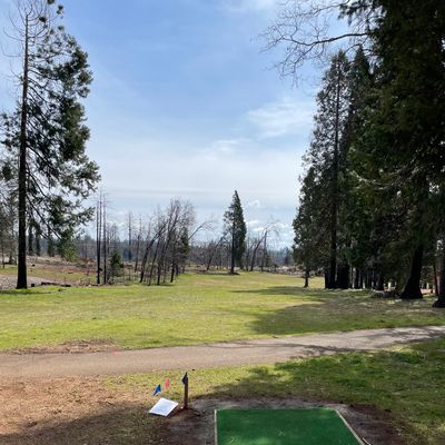 New tee pad on hole 1.