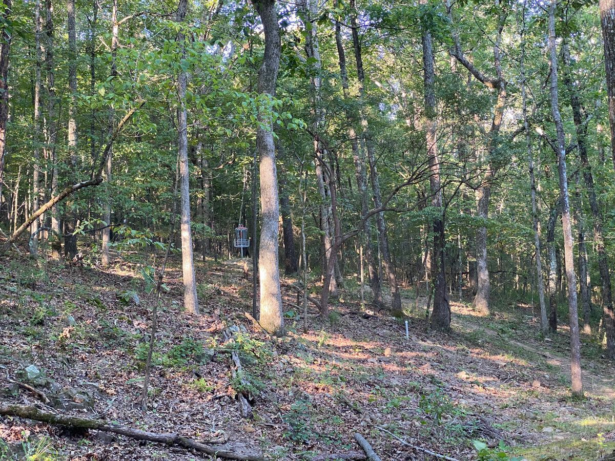 Further down the fairway on #15 so you can see long placement uphill and left of tee