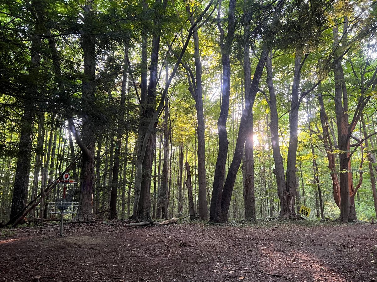 Hole 6