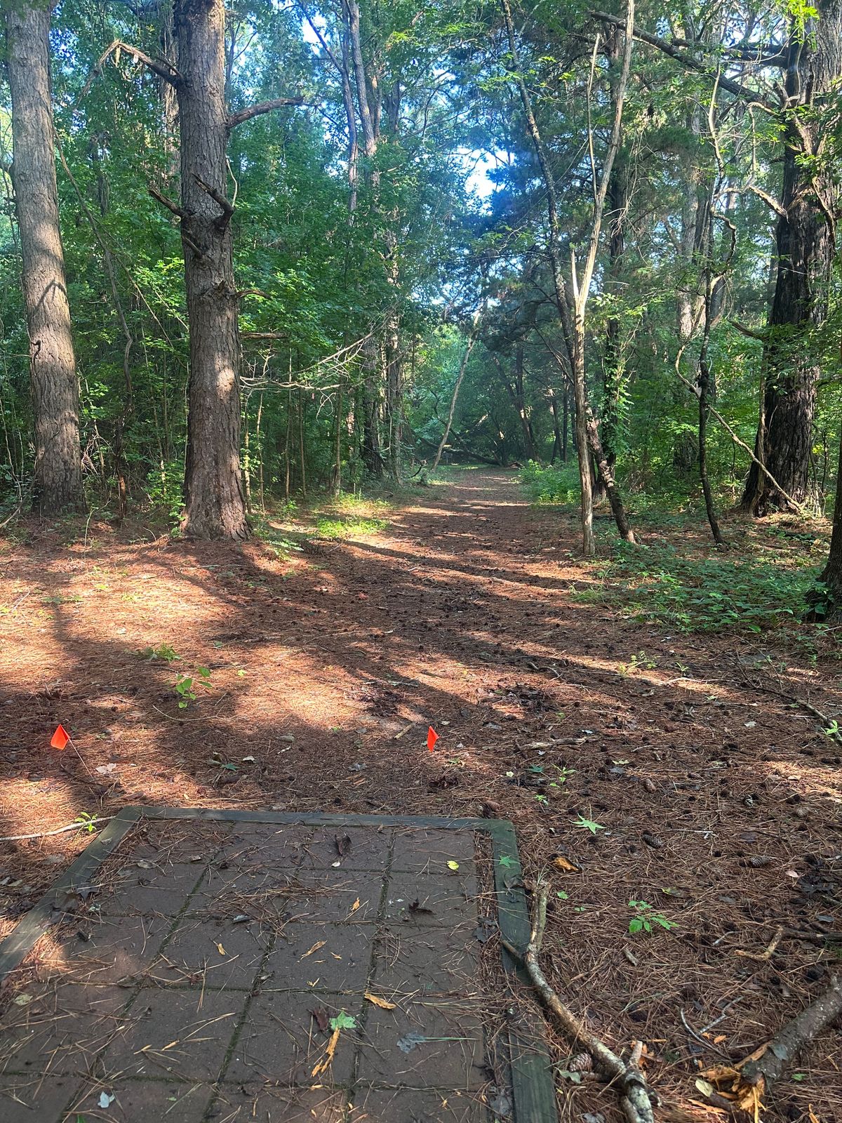 Hole 3
