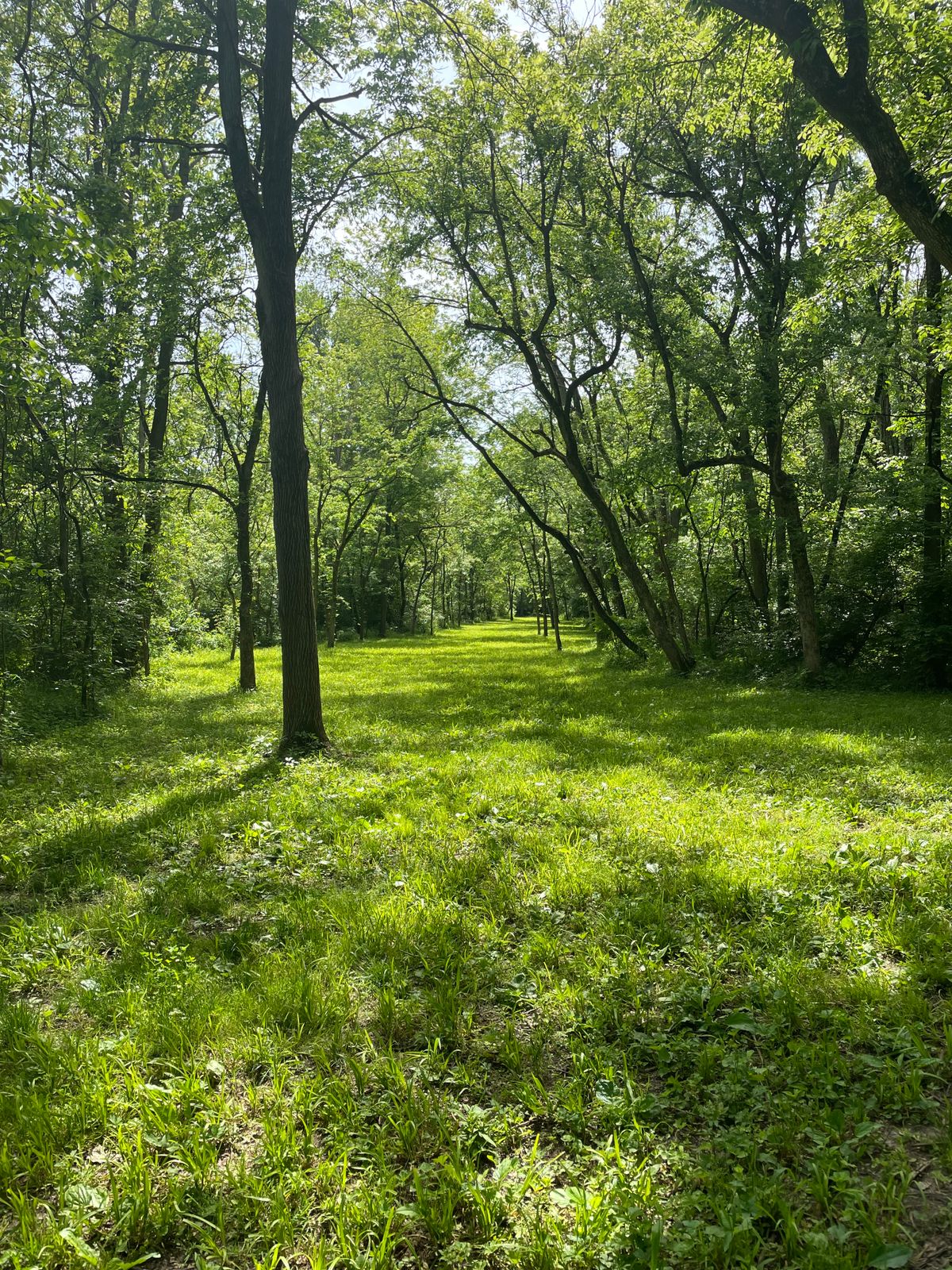 Hole 20