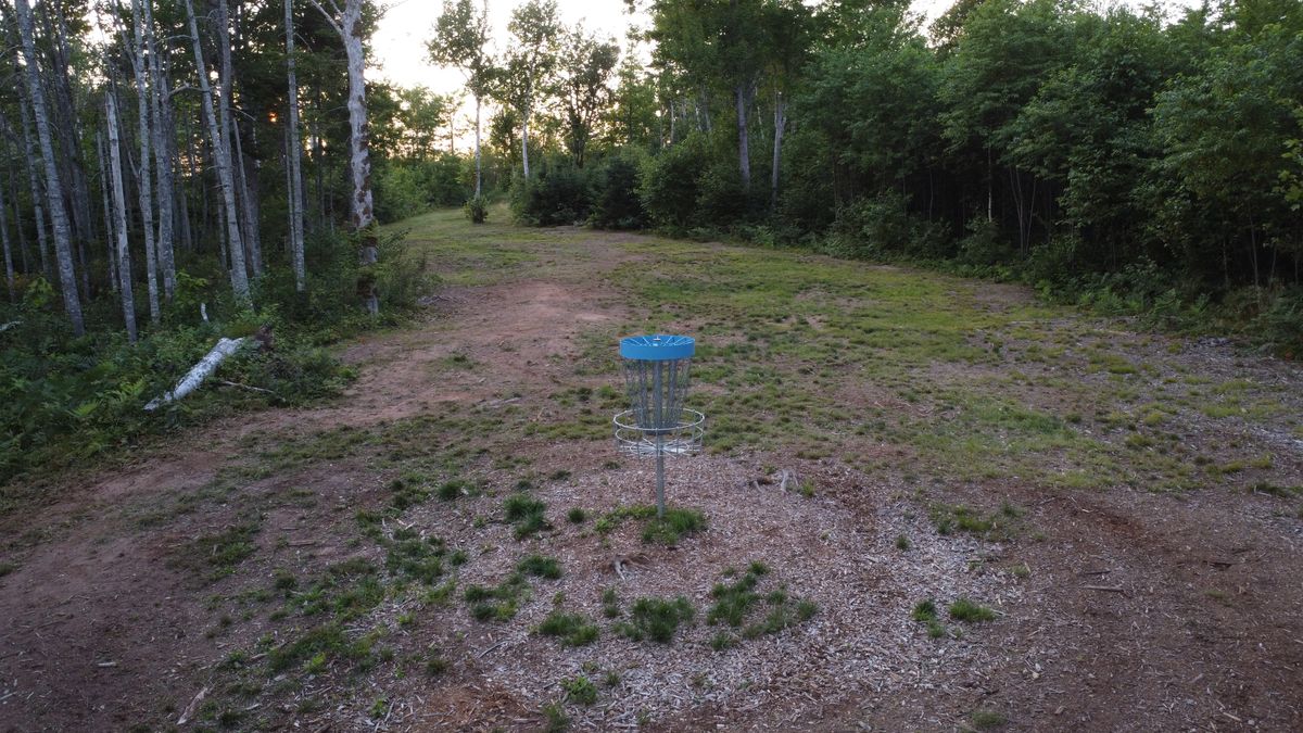 Green of hole 3, looking back towards fairway.