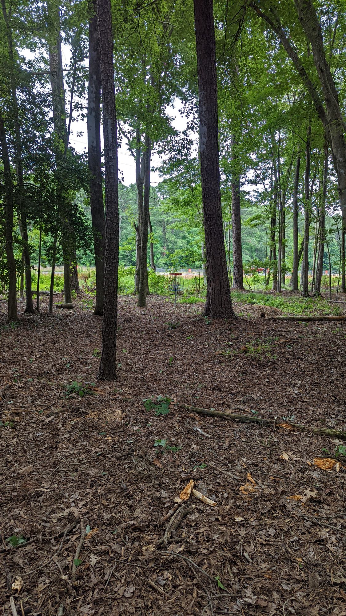 Hole 2 basket