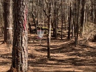 Hole 7 green and temp basket