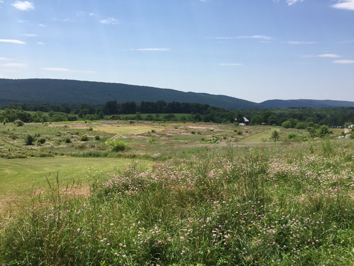 Field holes 8-11. Taken From 11 basket