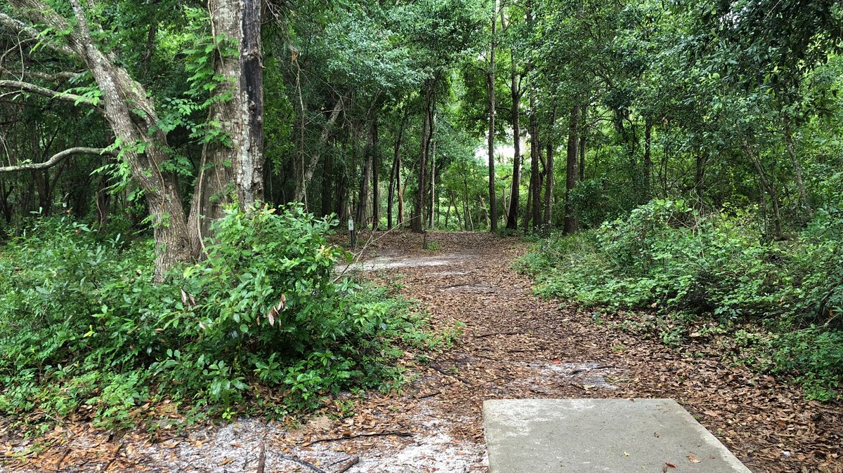 Hole 5