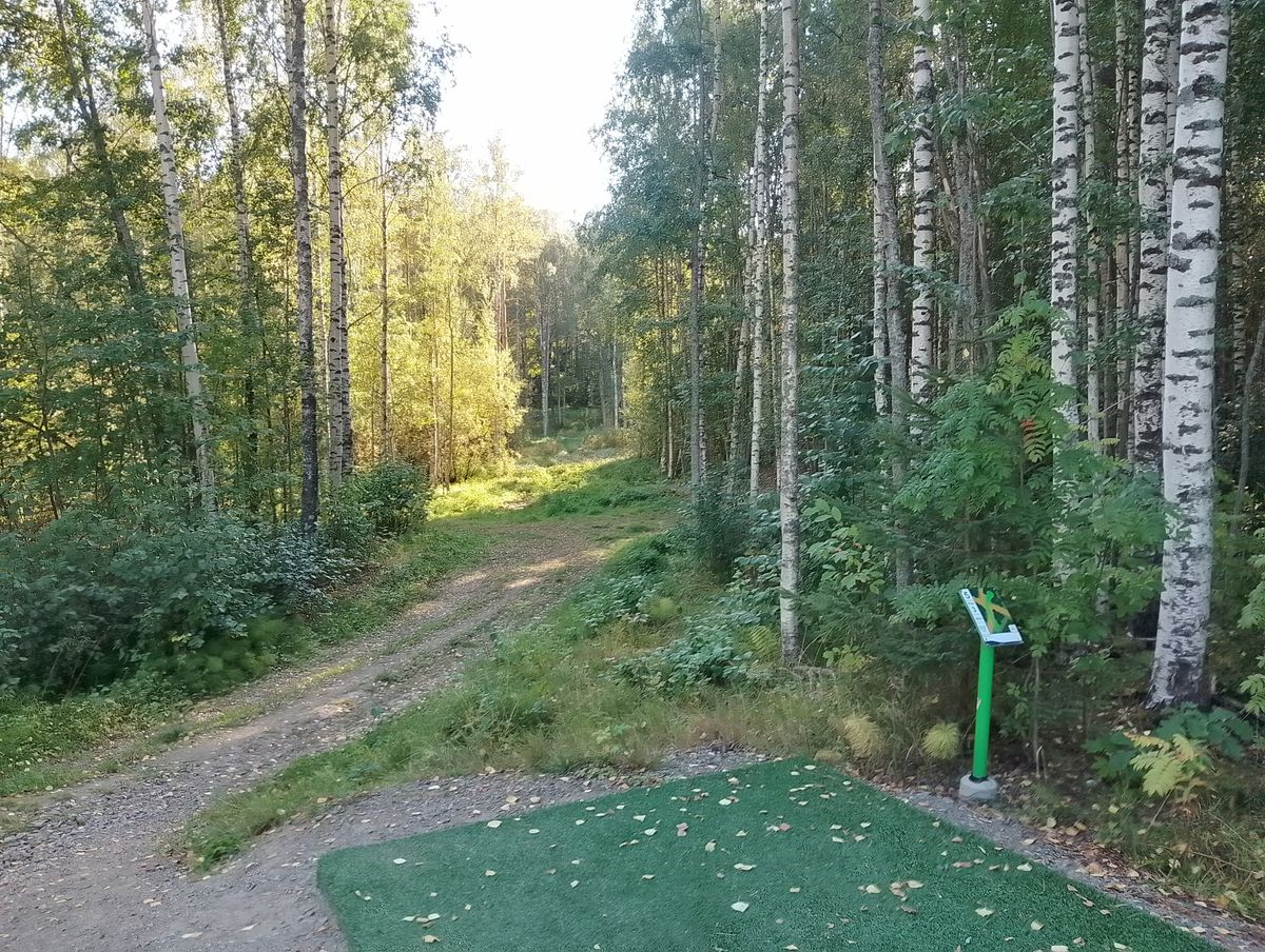Hole #5.