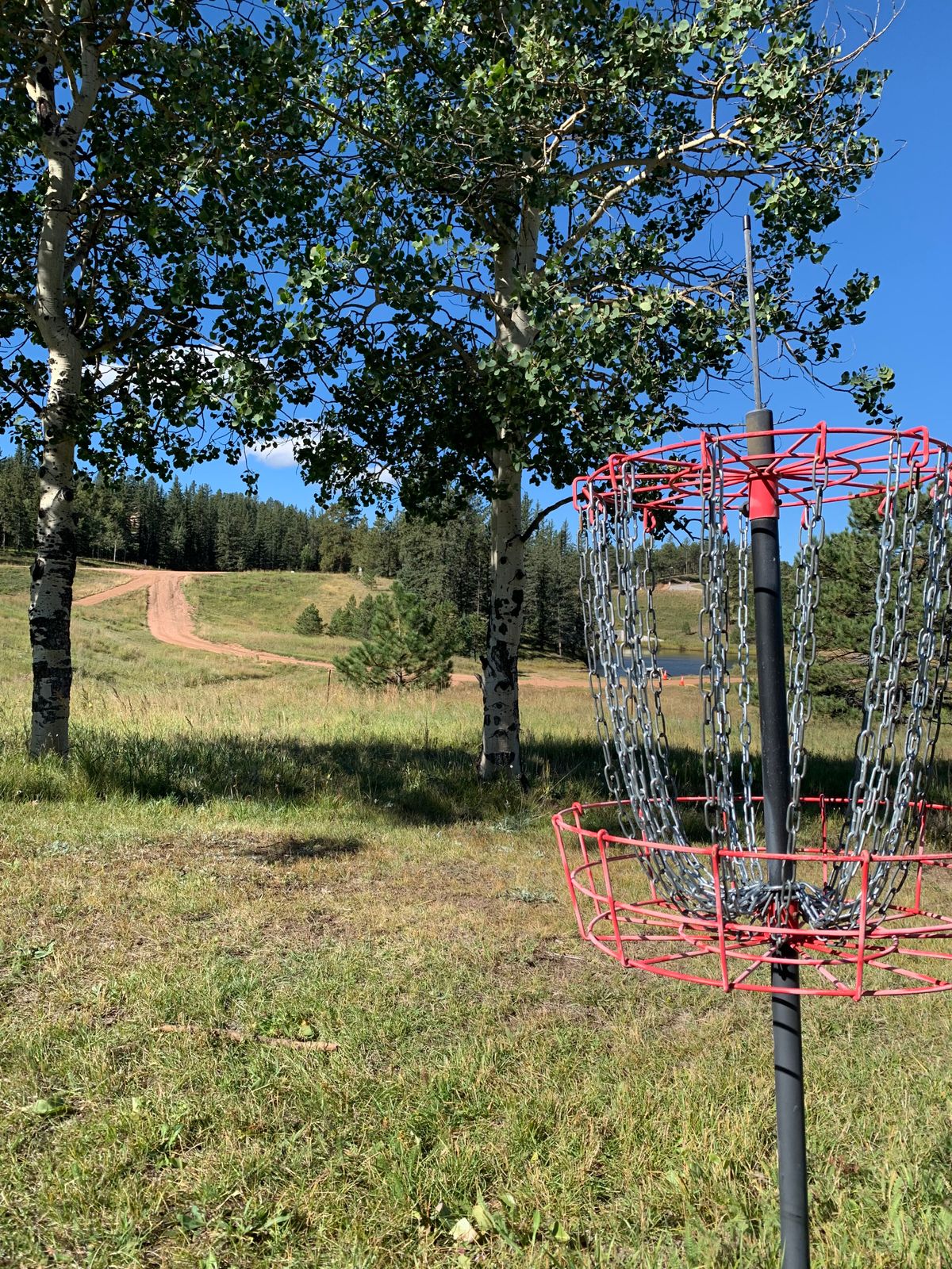 Basket #2