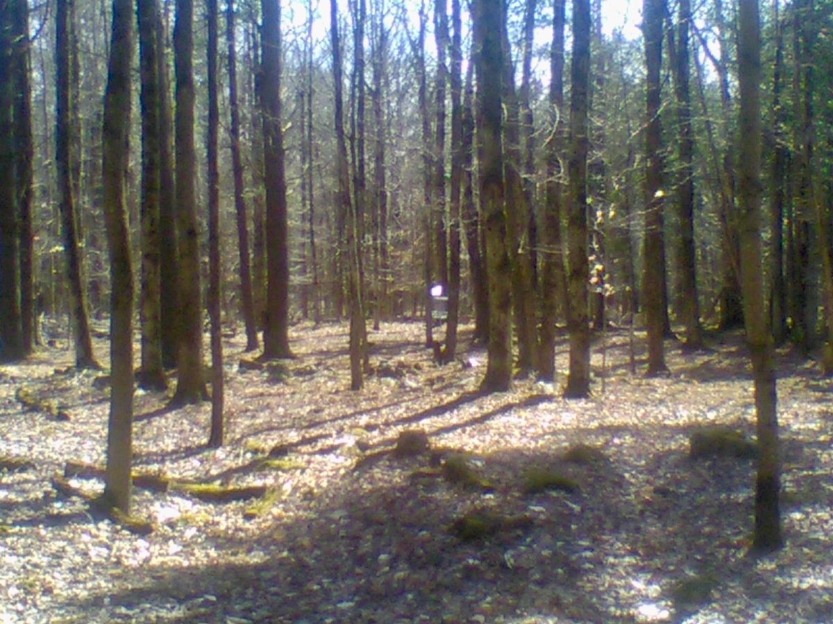 Hole 14