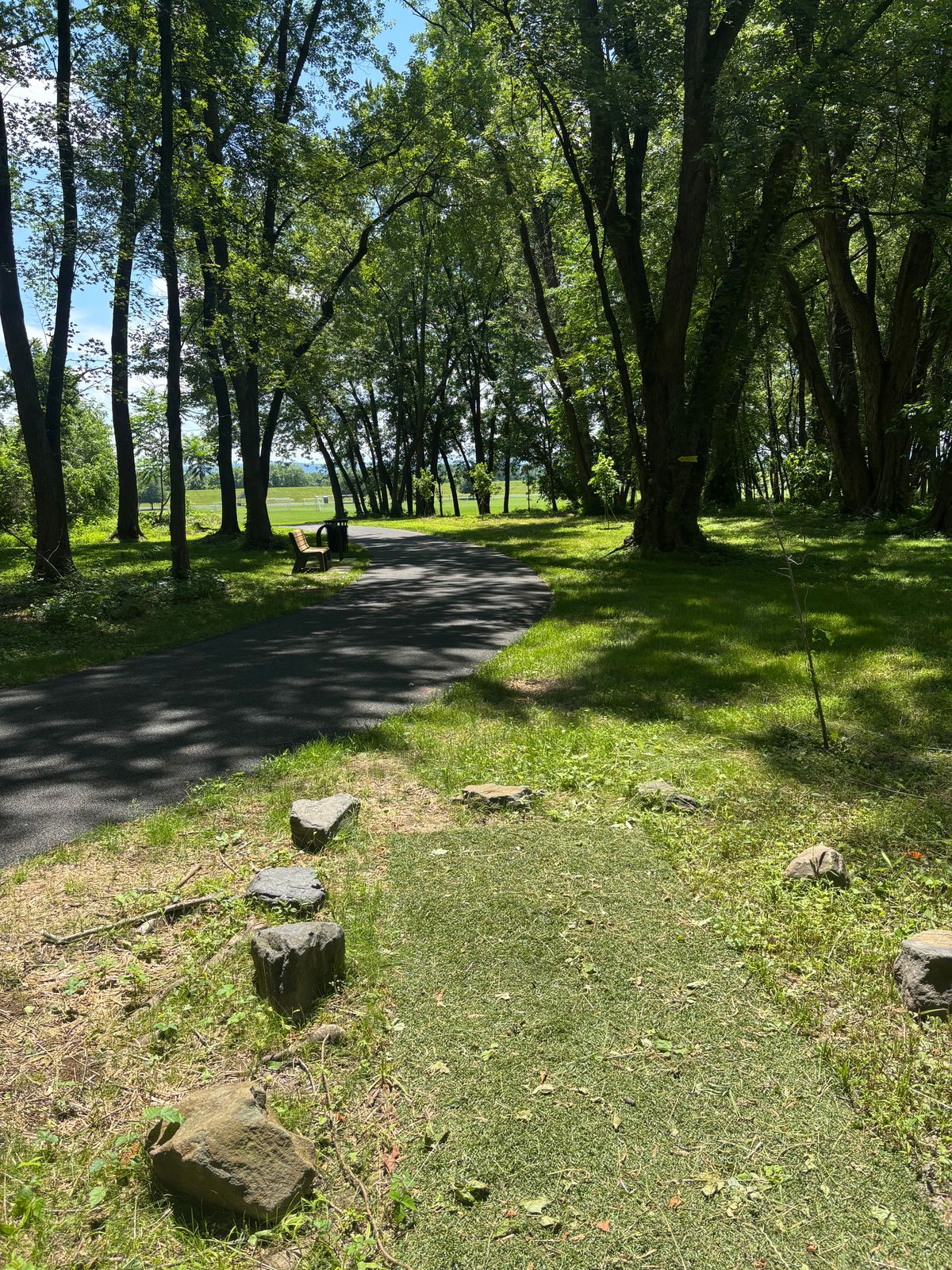 Hole 4