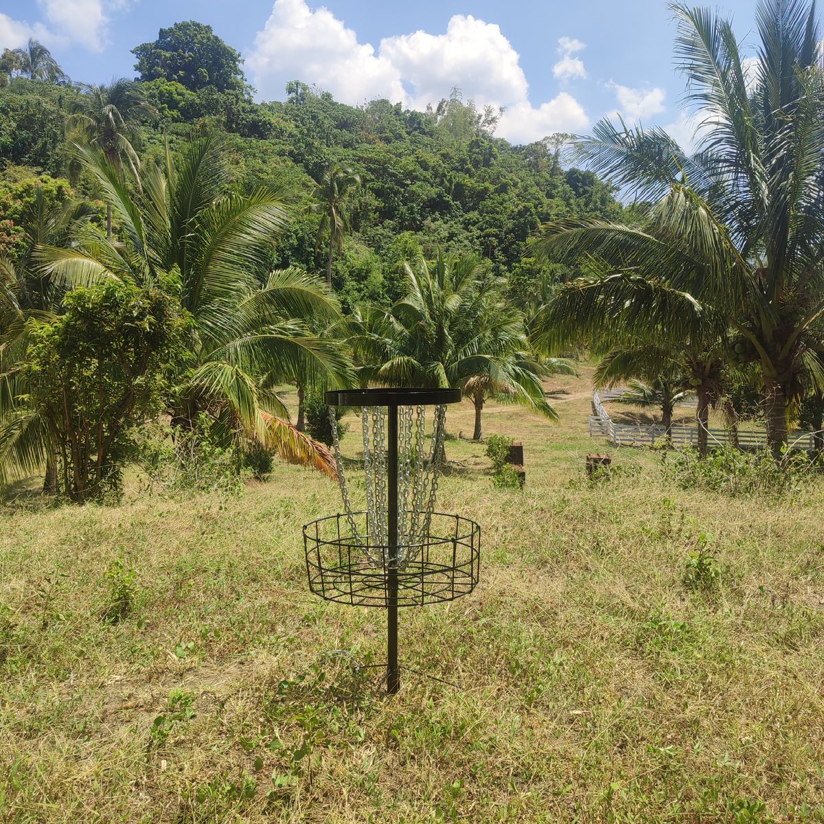 Hole 9 vista with the tee off the corner of pen