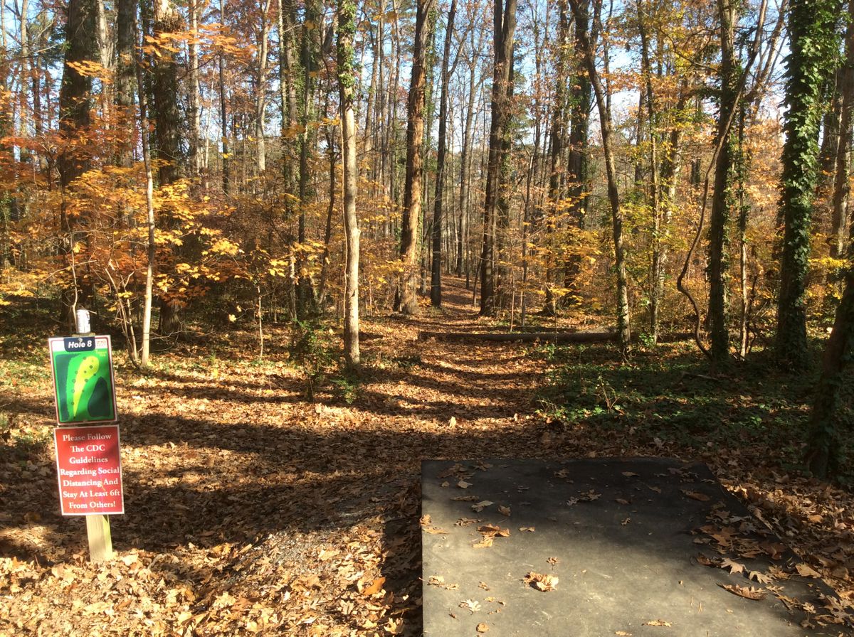 Hole #8