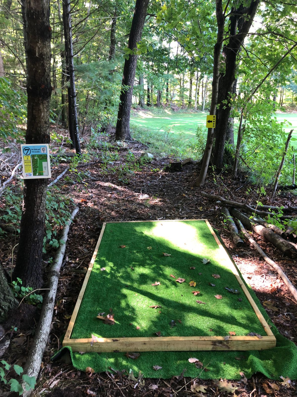 Hole 7 Tee