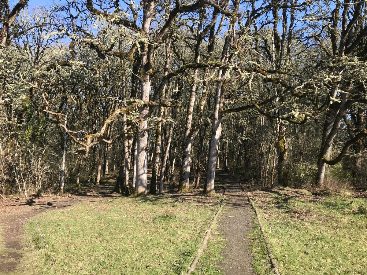 View from Hole 6