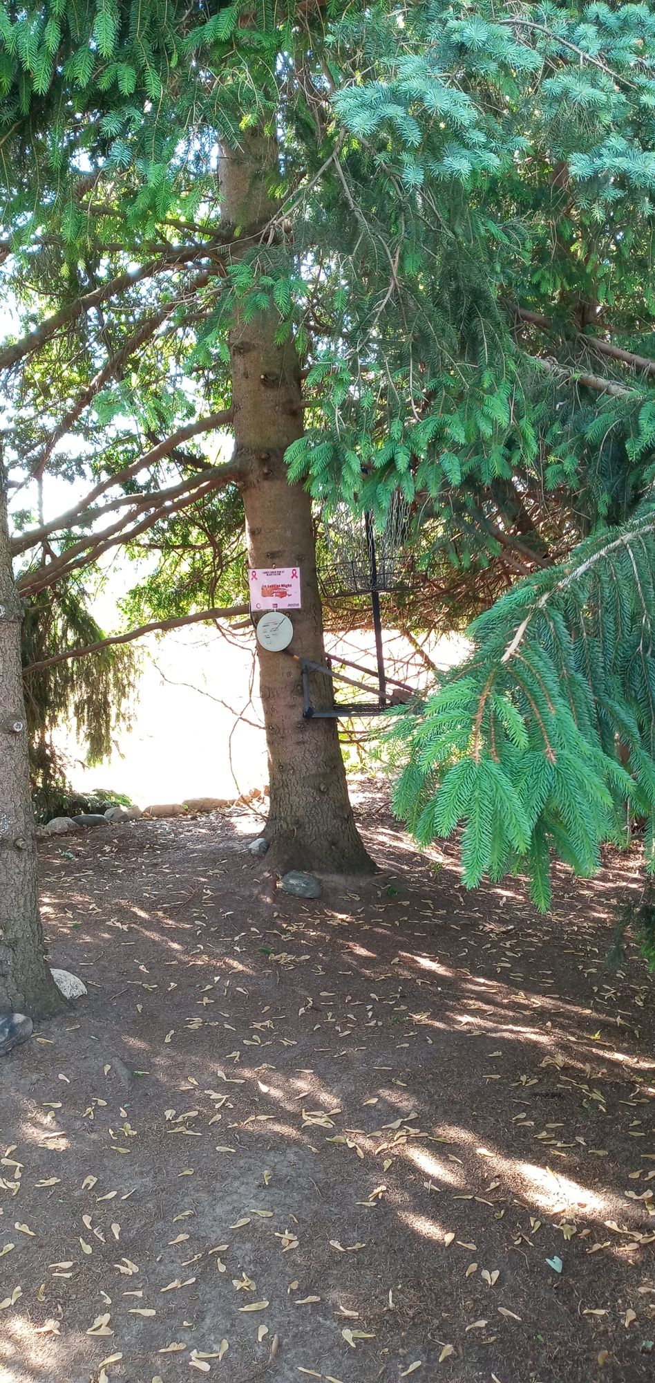 Hole 17