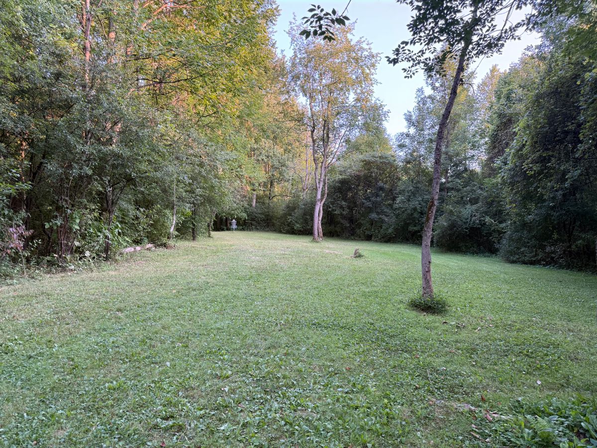 Hole 8 Fairway