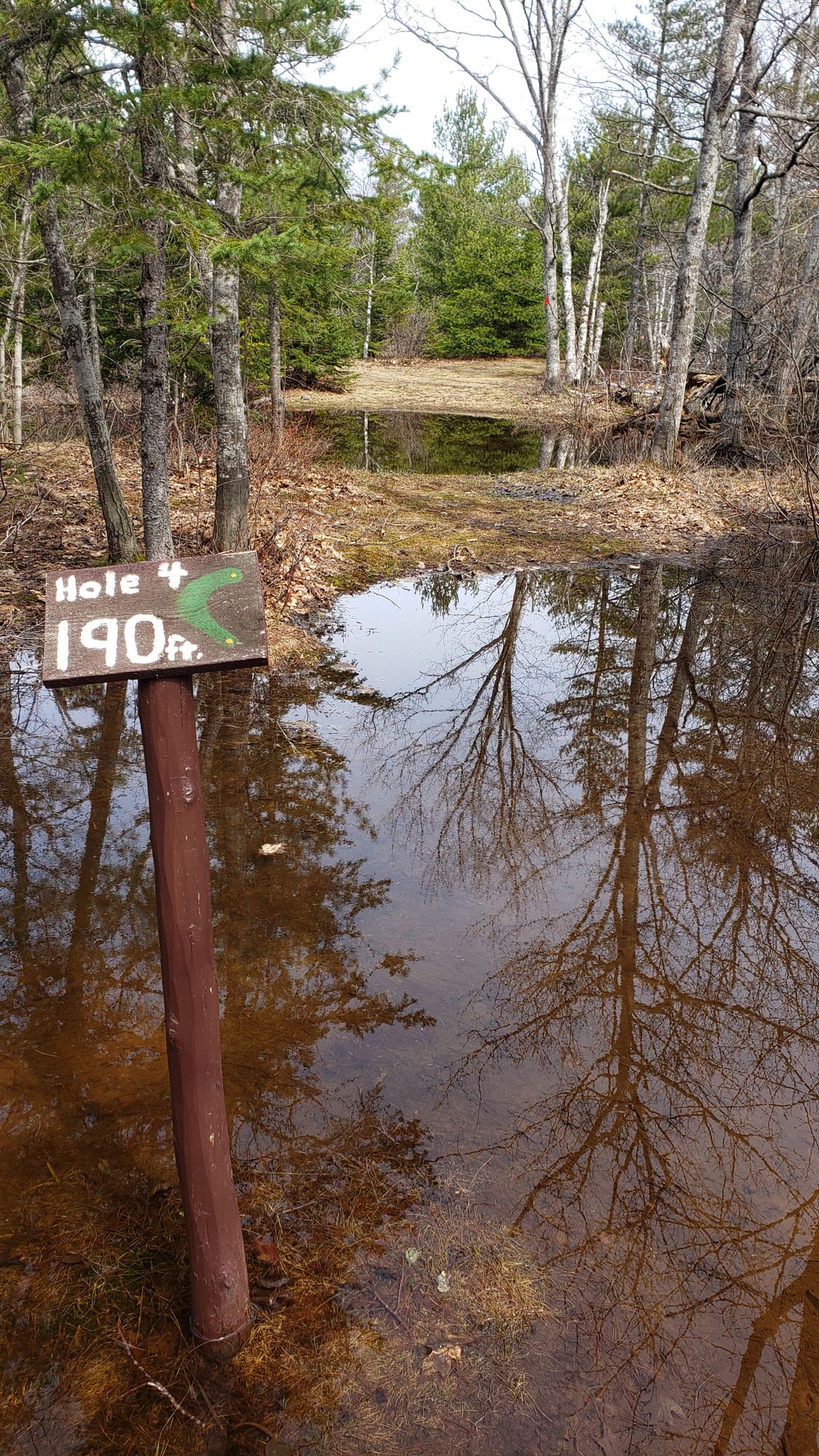 Hole 4