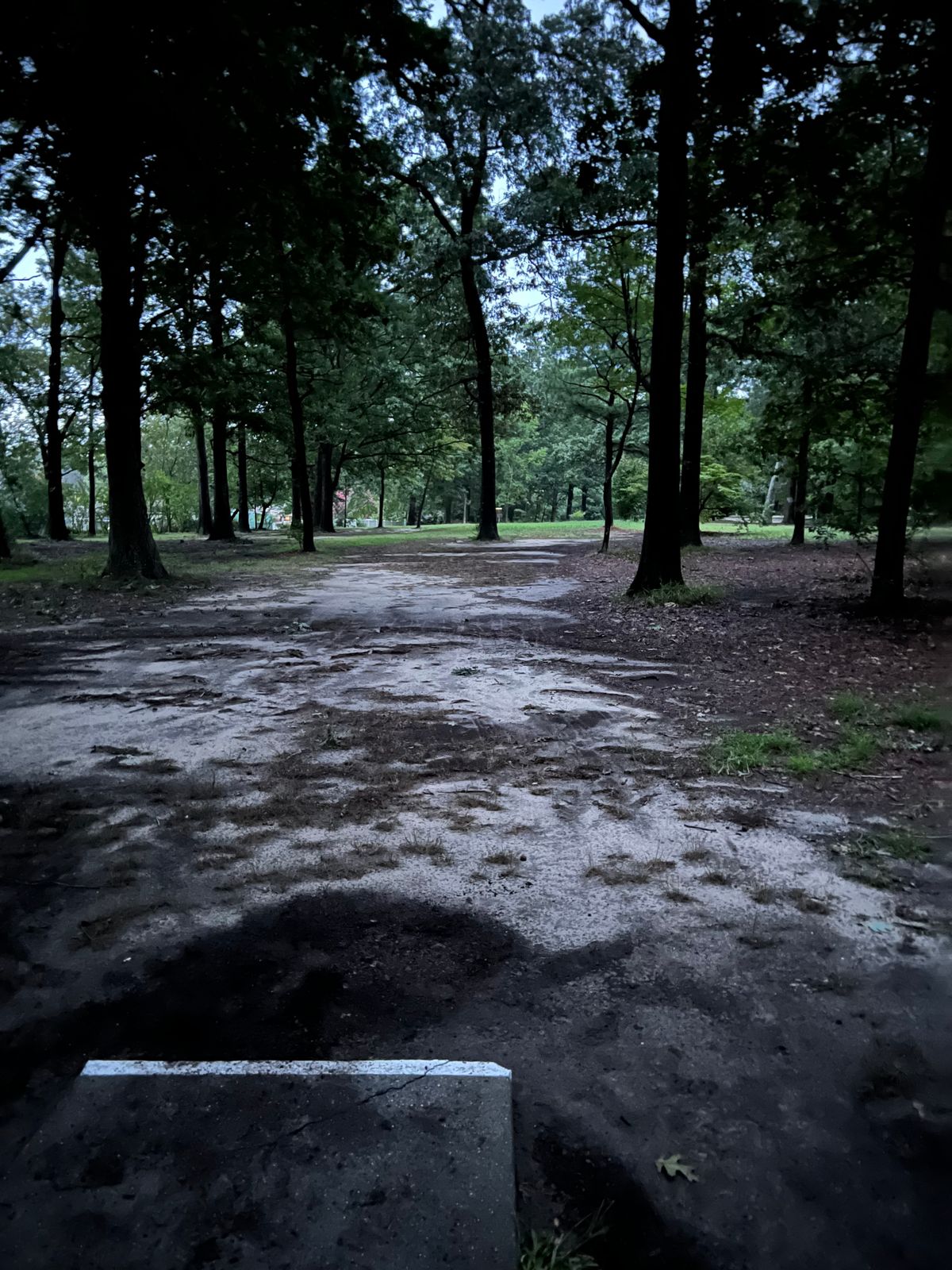 Hole 14