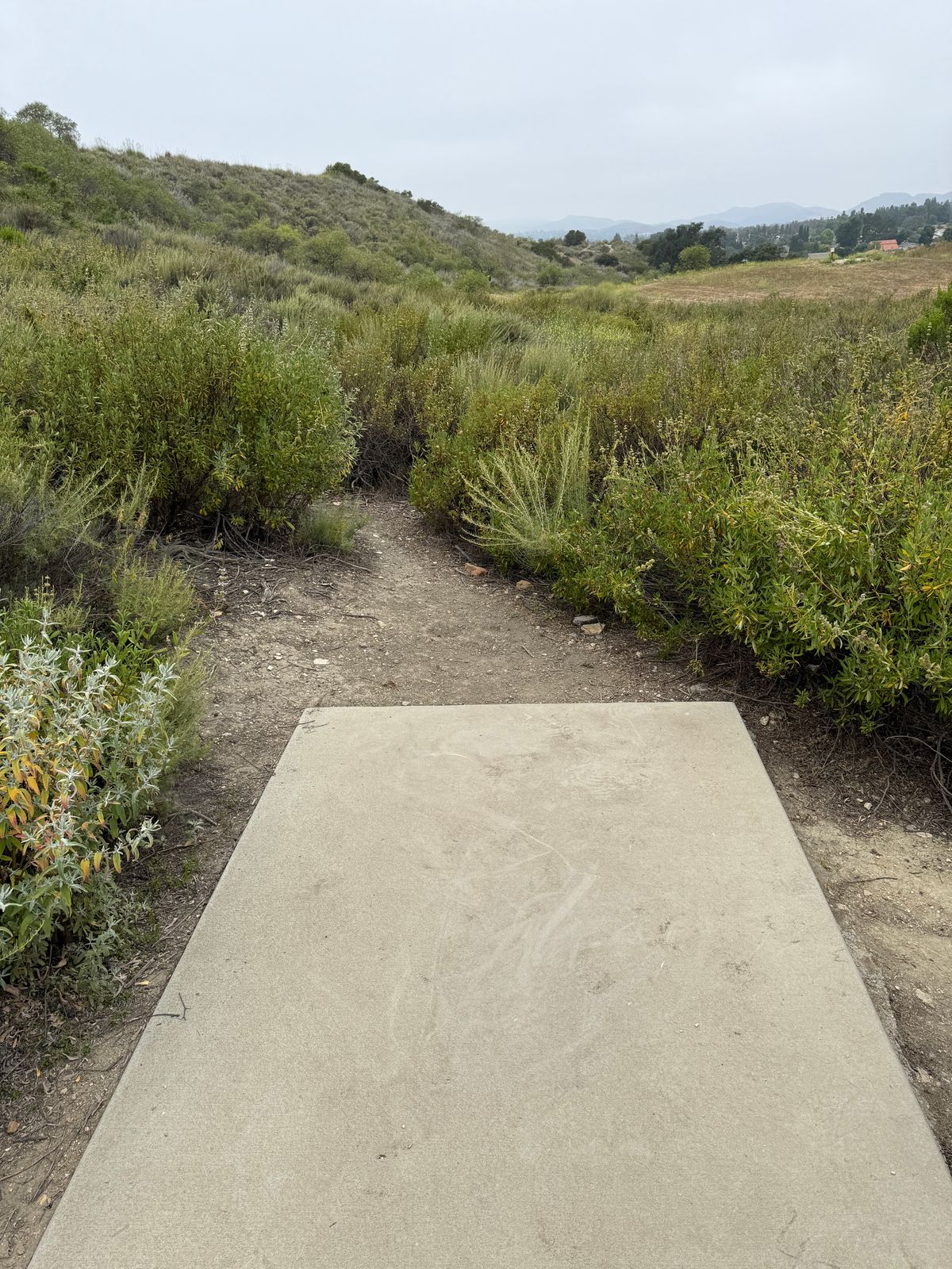 Hole 2 tee