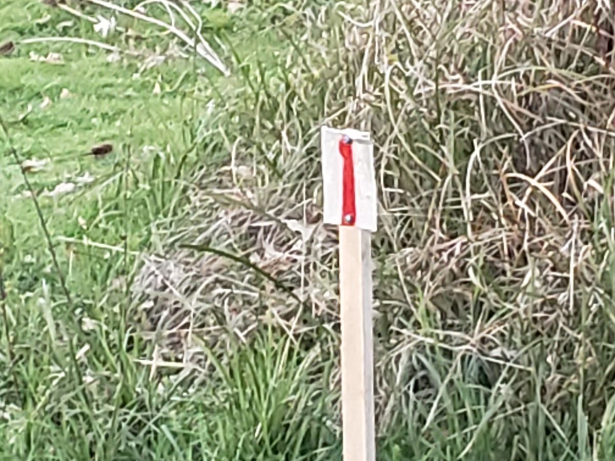 Some temporary marker have been set by missing tee pads (according to udisc locations)