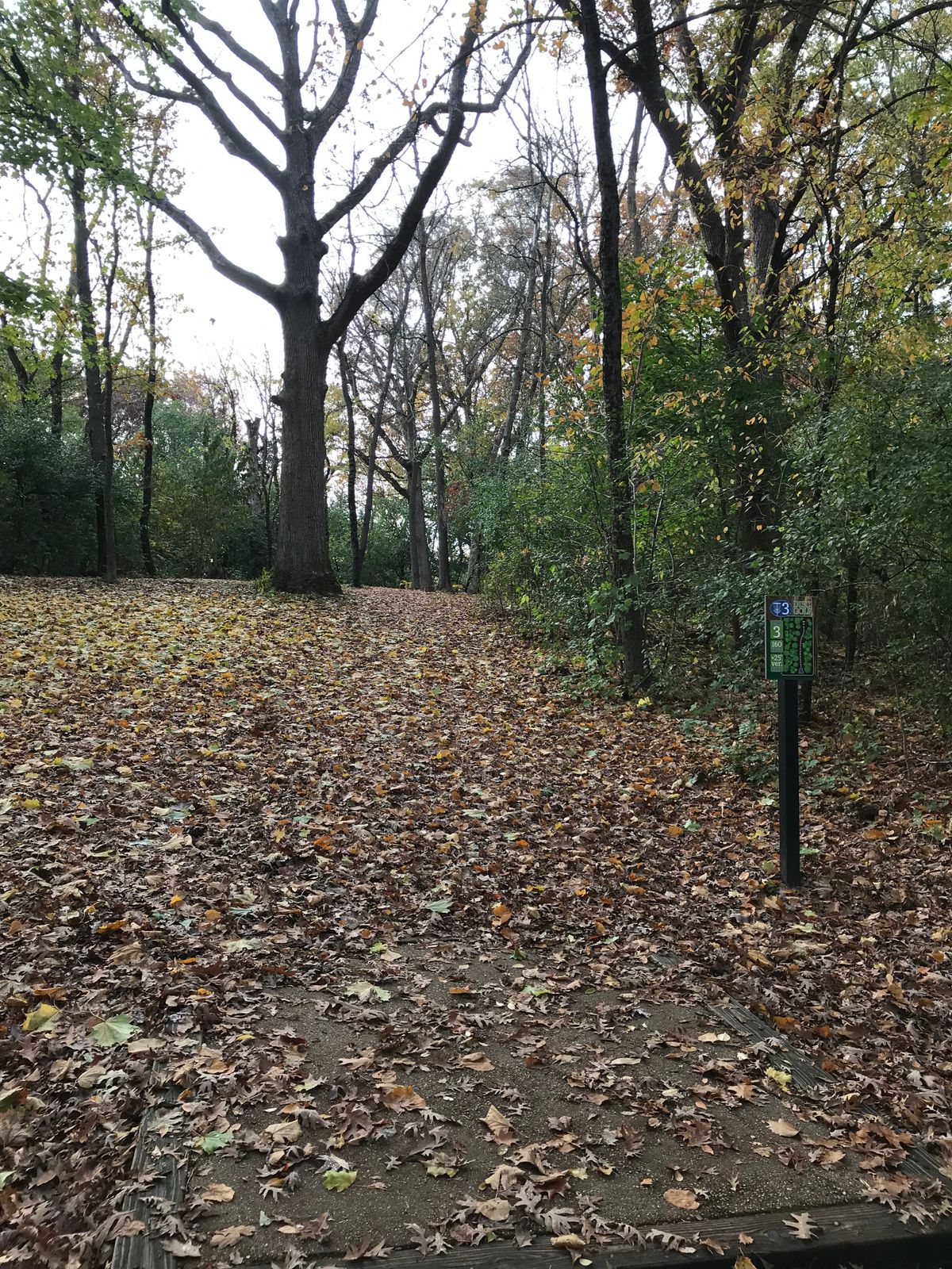 Hole 3