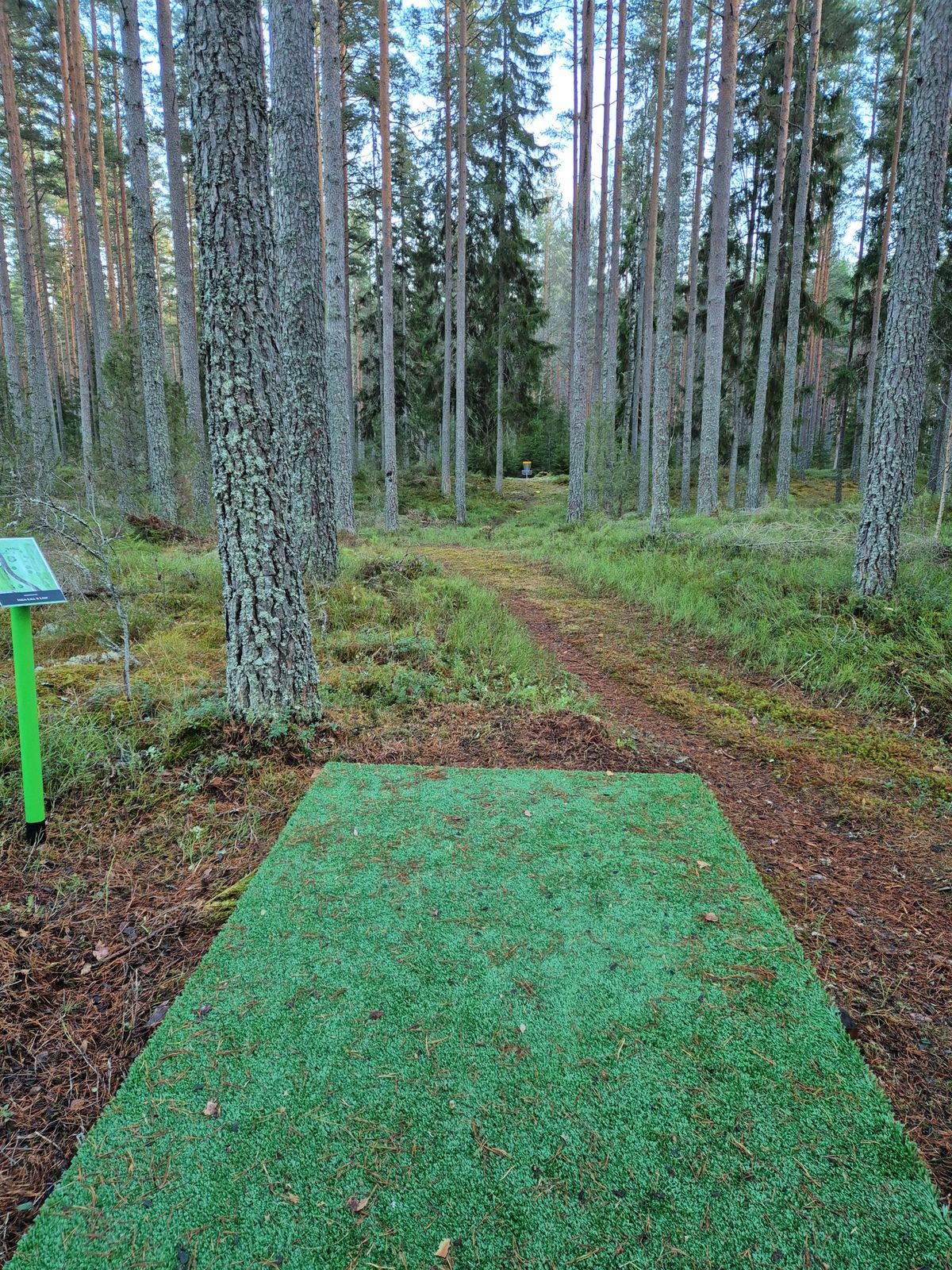 Hål 7