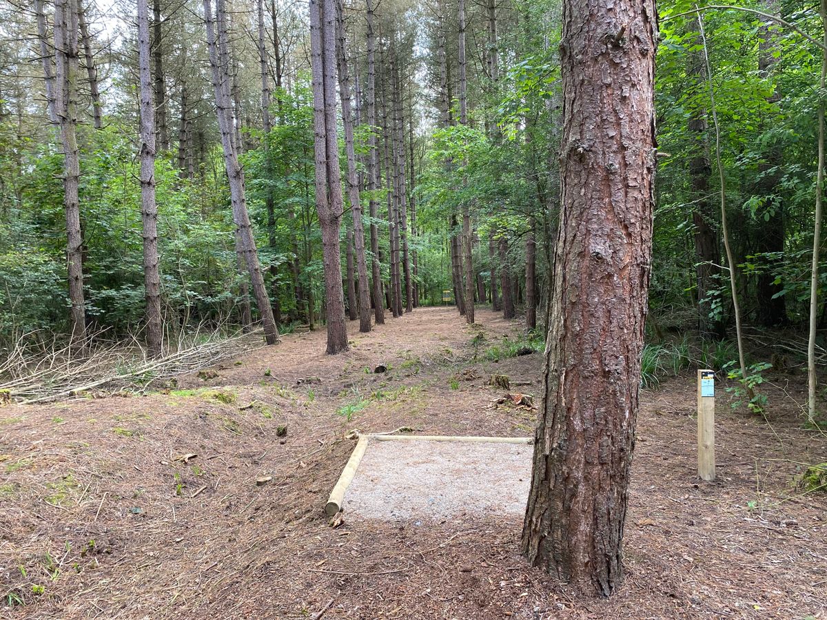 Hole 9 - Short