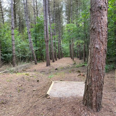 Hole 9 - Short