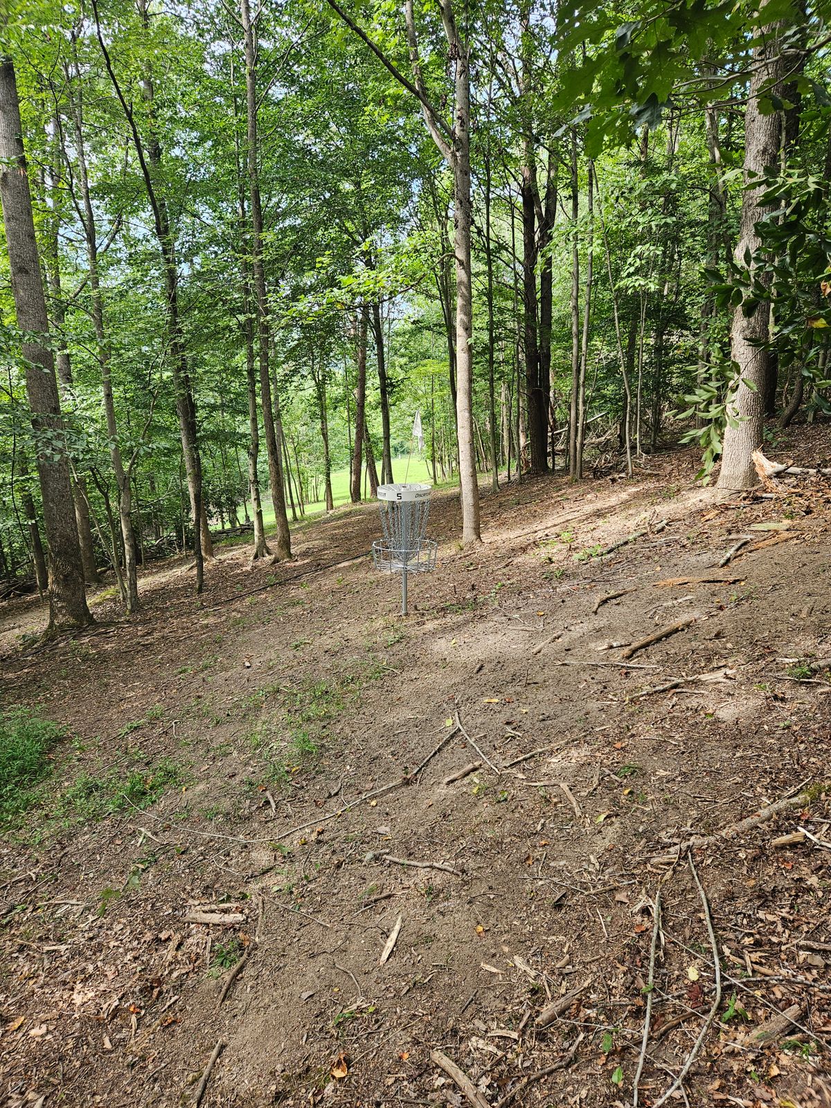 Hole 5 Long Basket. Looking towards Teepads.