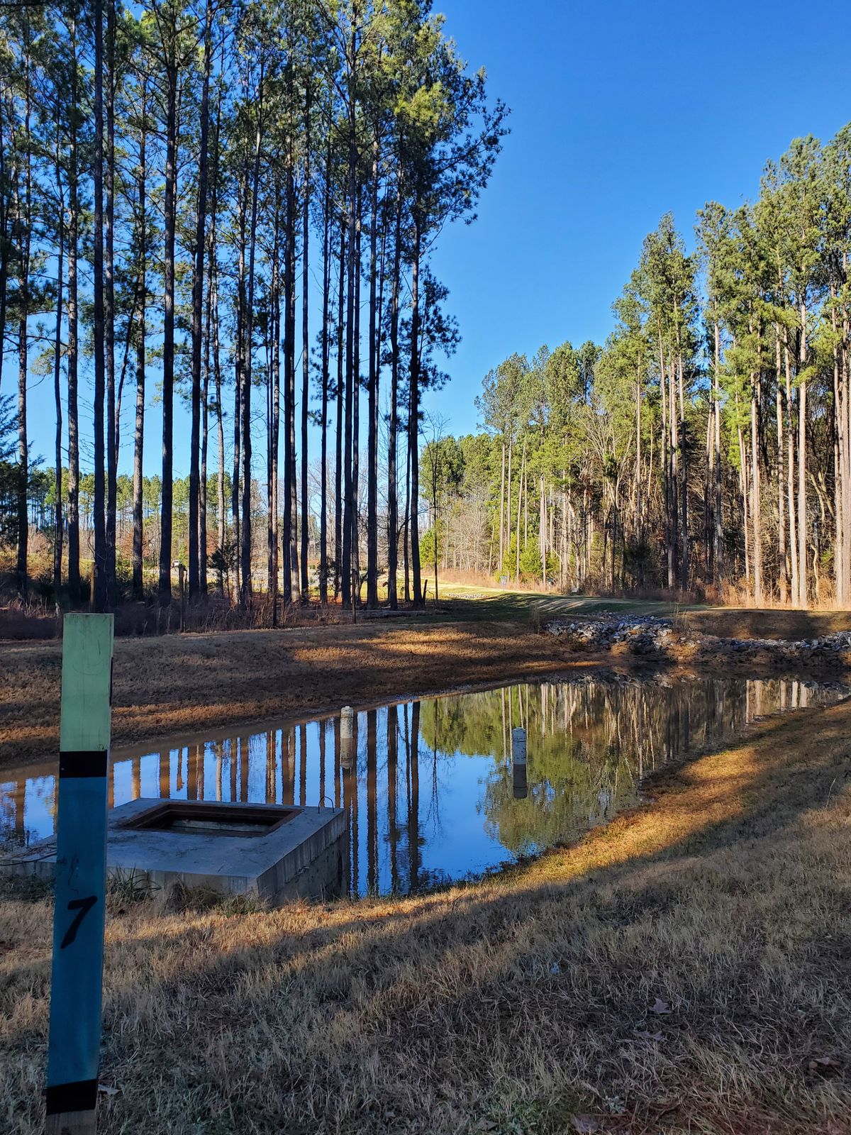 Hole 8