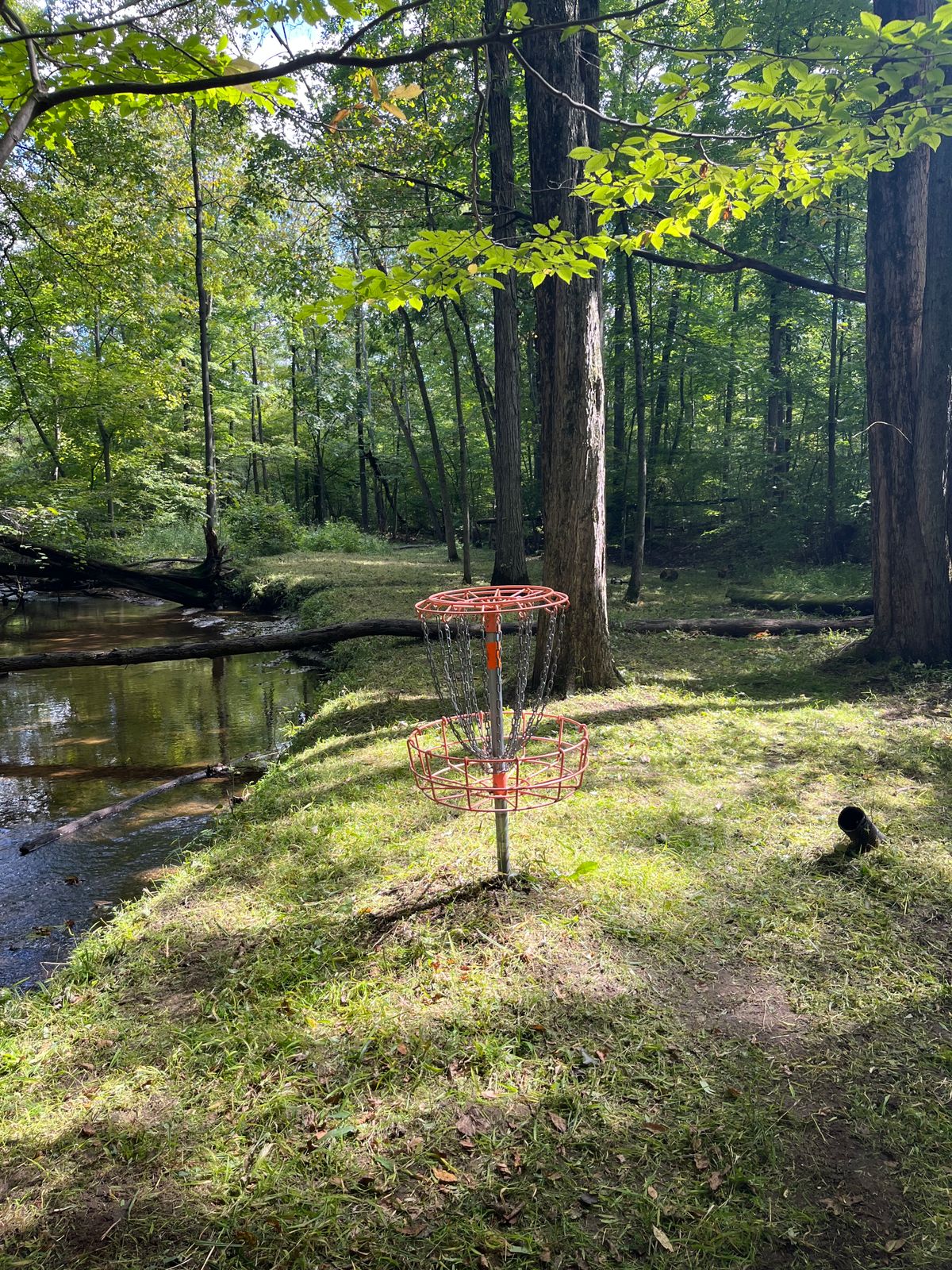 Hole 4 Original OG 9