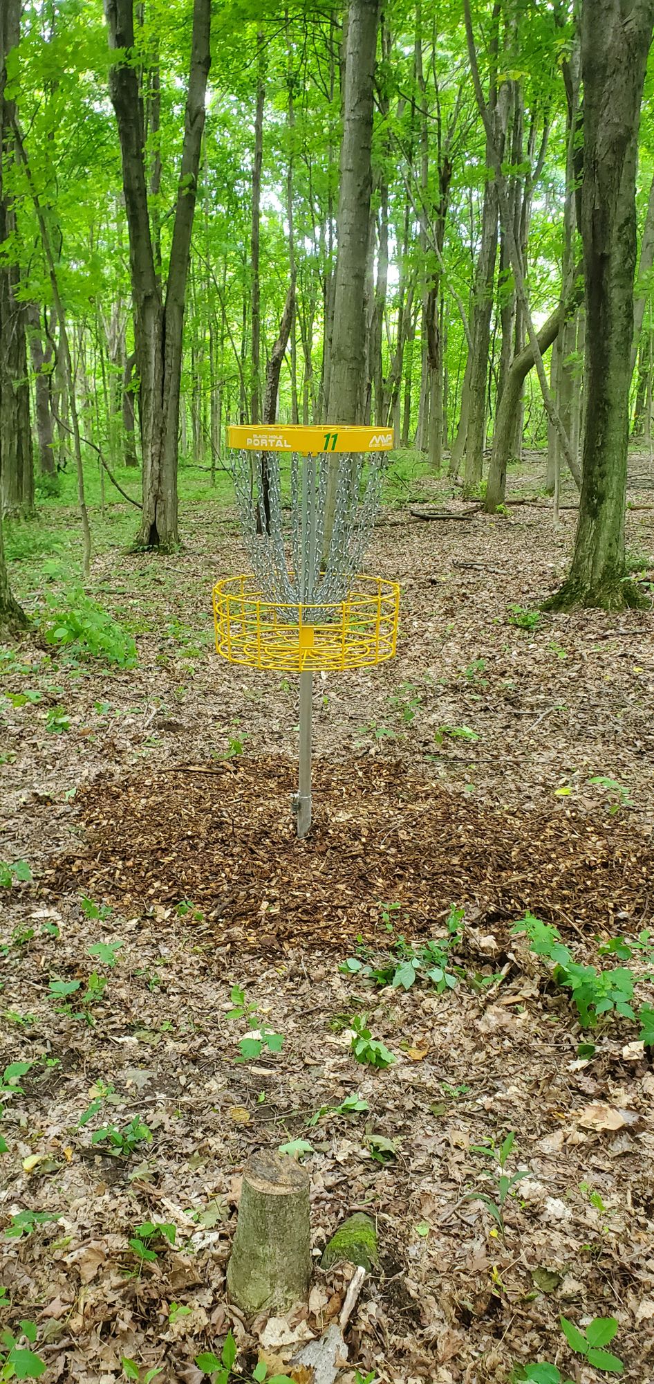 Added wood chips to each basket. Goal is to have lots of chips on the wet trails to tee pads especially #8 to #9.
Milo McIver disc golf course  in Estacada, Oregon is inspiring this.