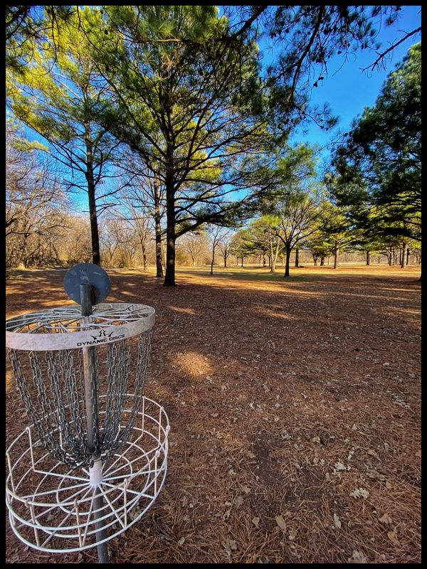 #4 green looking back to Tee