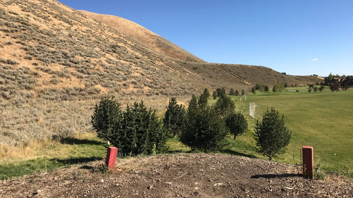 Hole 3