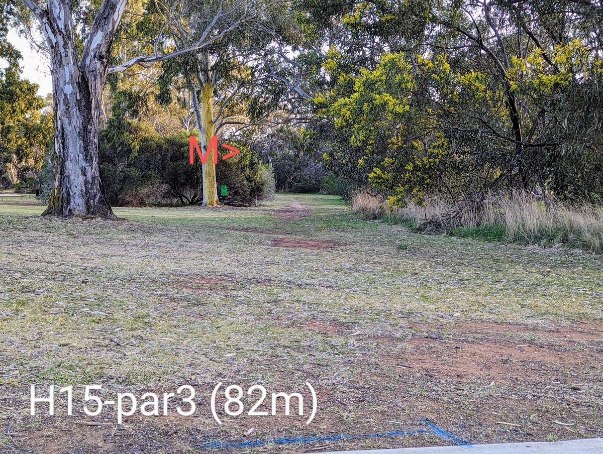 H15-par3 (82m)