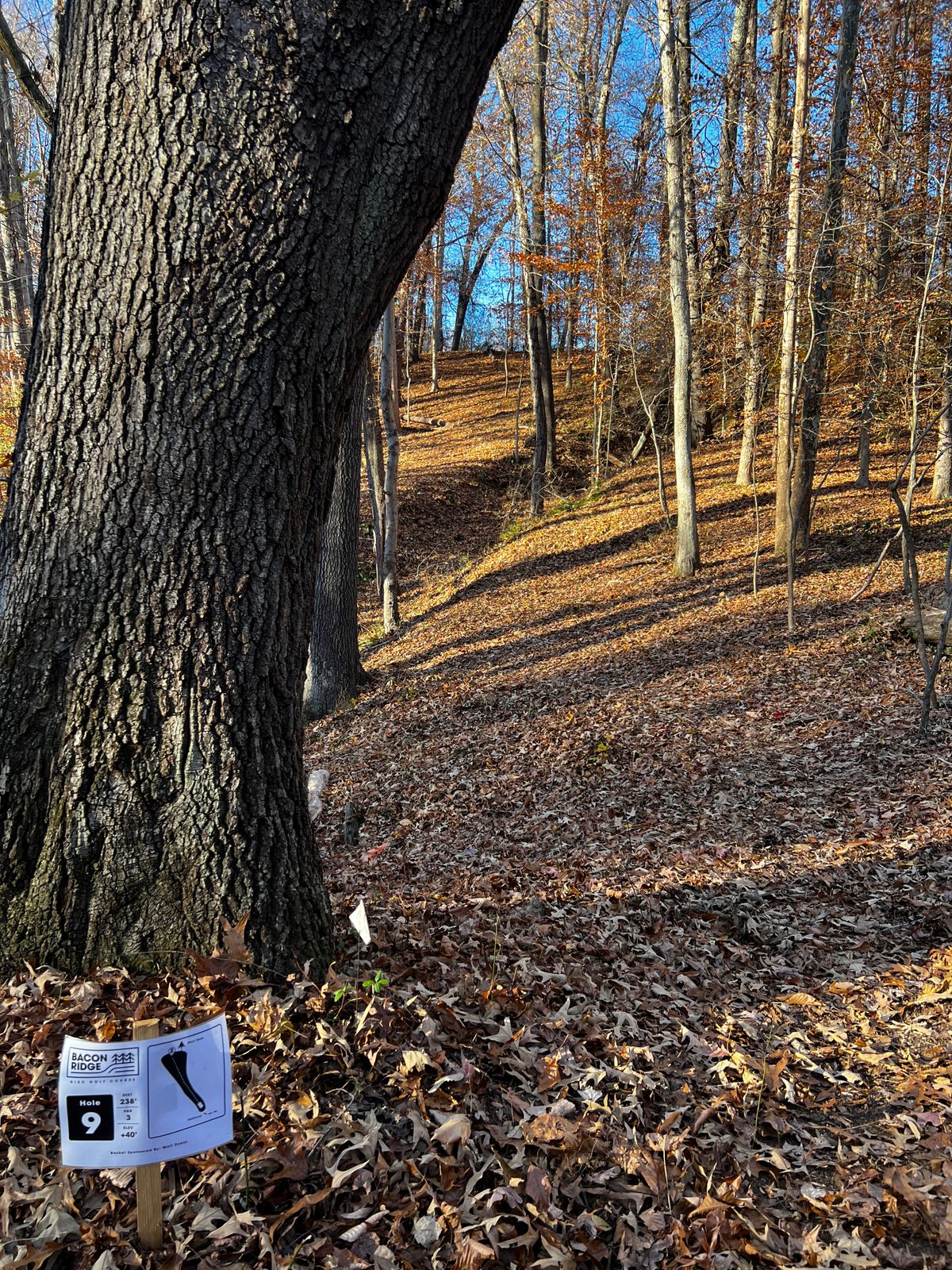 Hole 9 uphill probably best to forehand this one and let it lay on the  hill