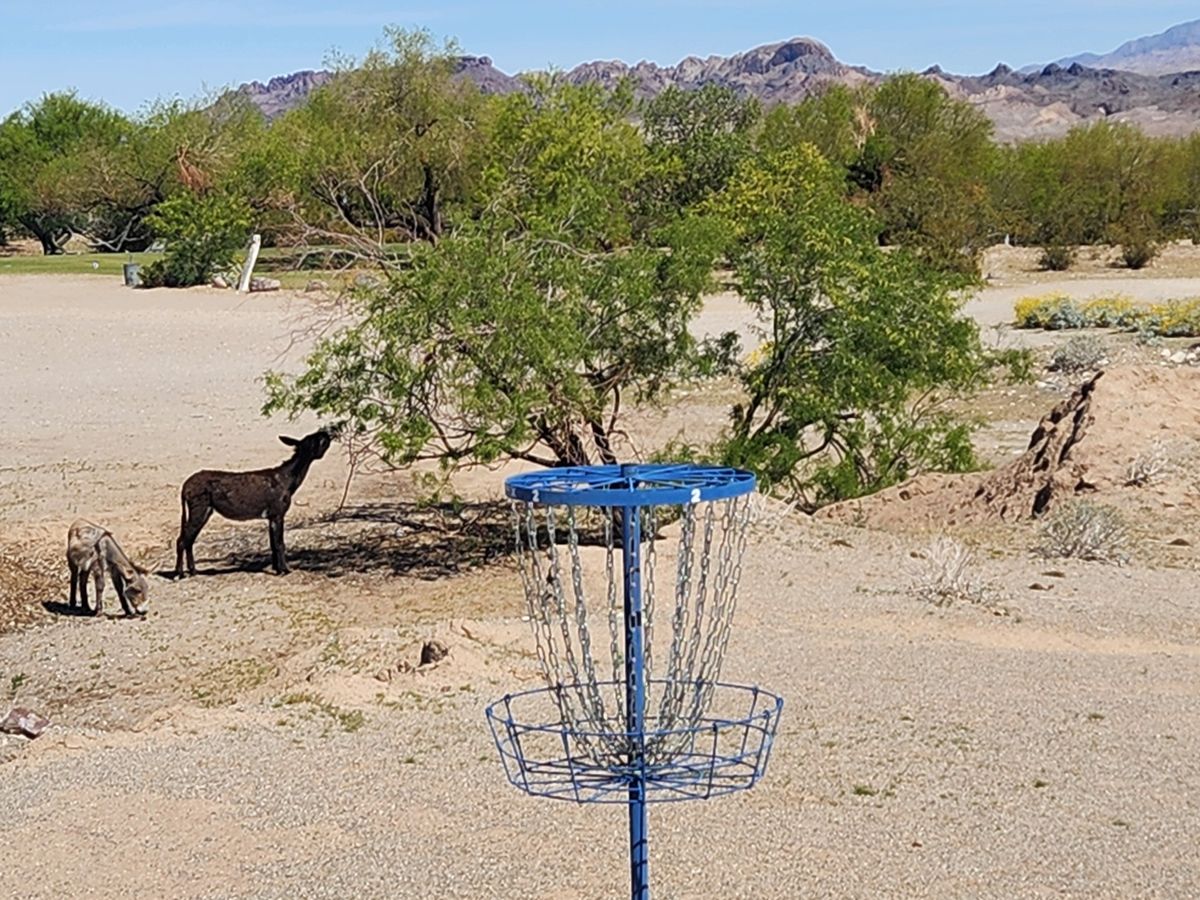 Hole 2 basket