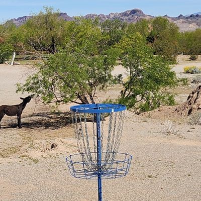 Hole 2 basket