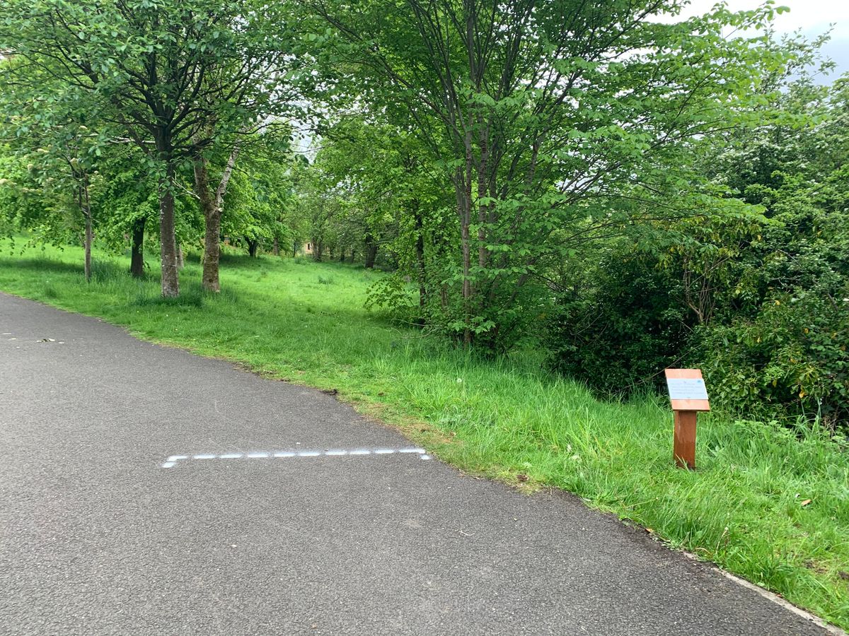 New Tee at hole 3