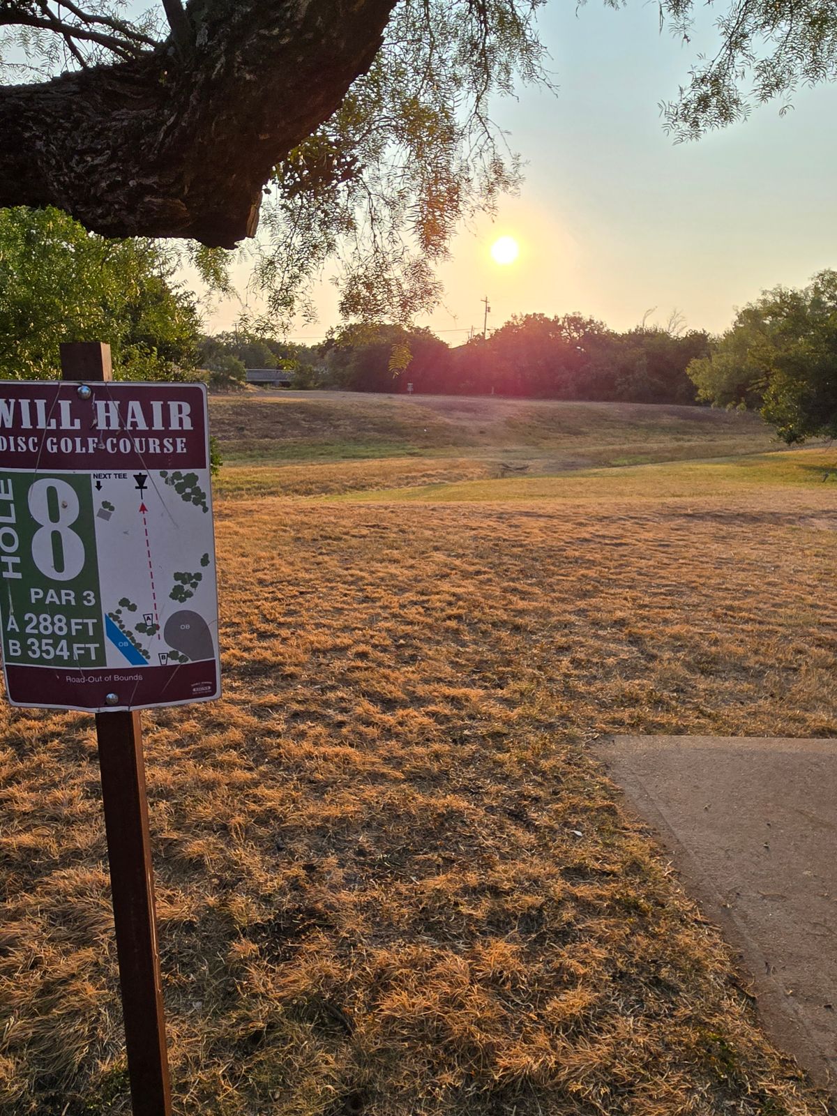 Hole 8 short tee