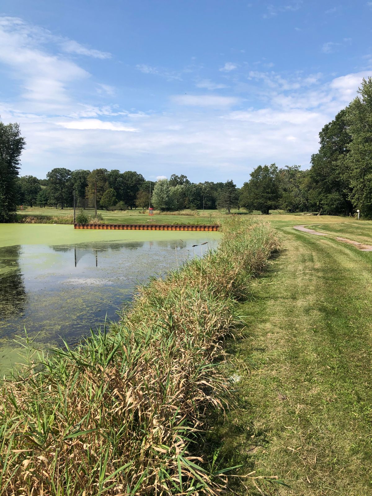 Hole #2 fairway - peninsula green