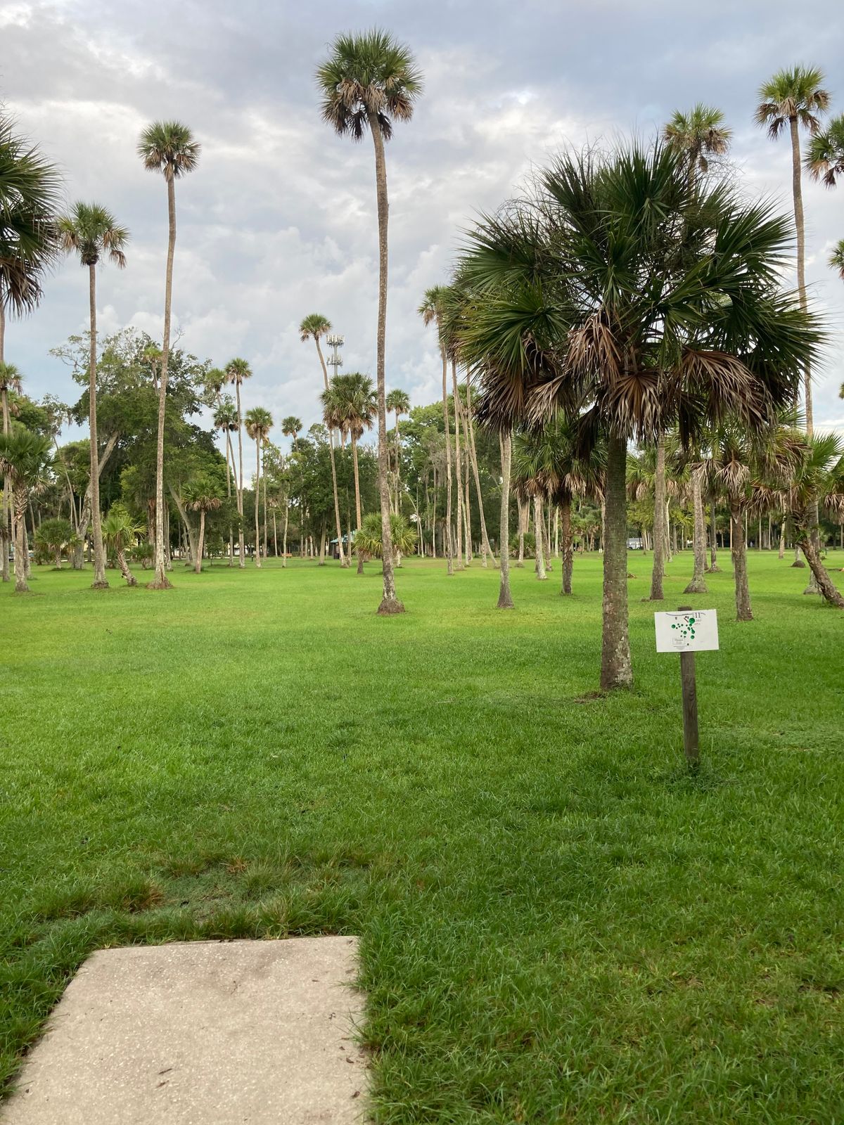 Reed Canal Park