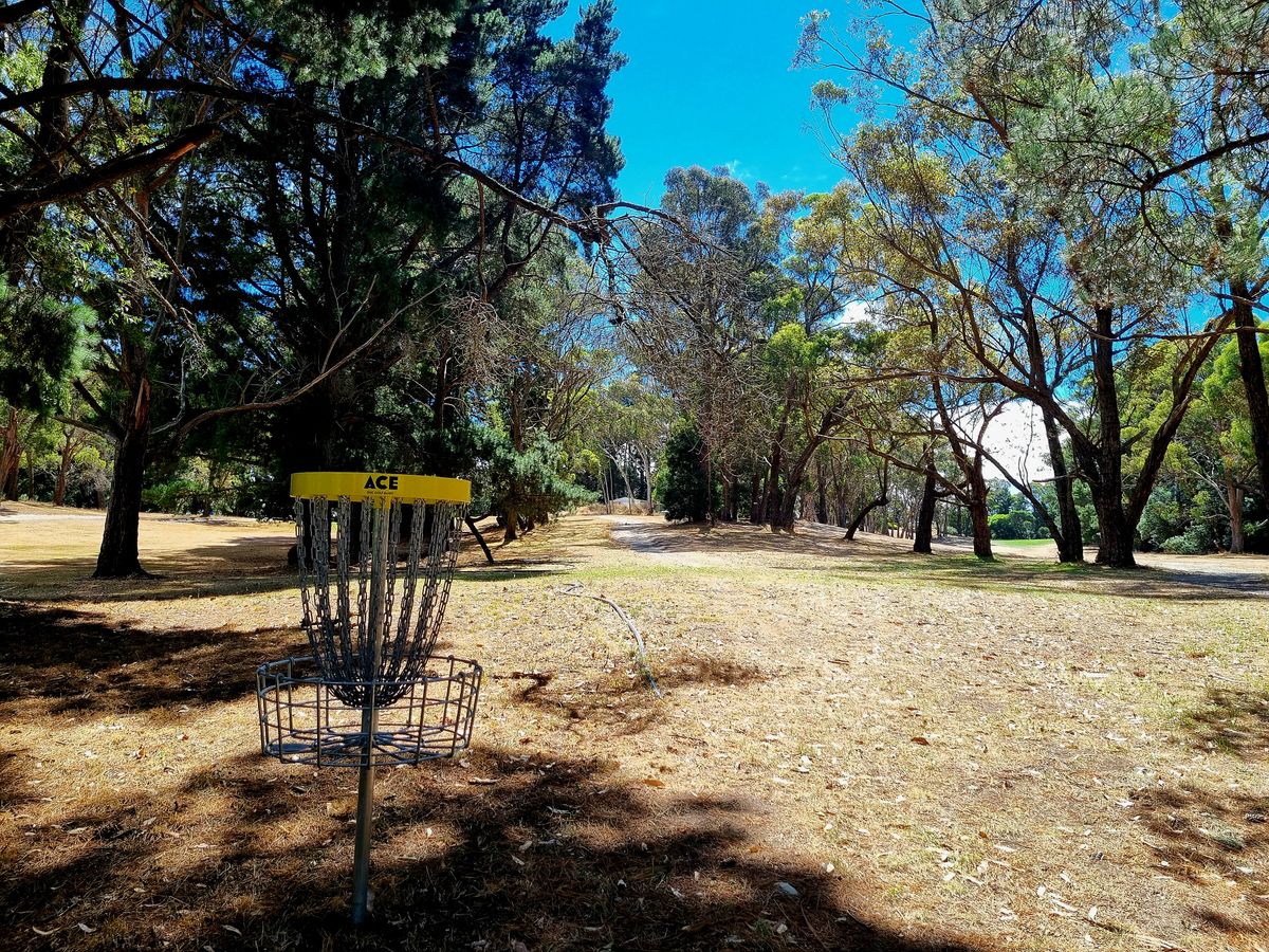 Hole 4, looking up at the fairway.