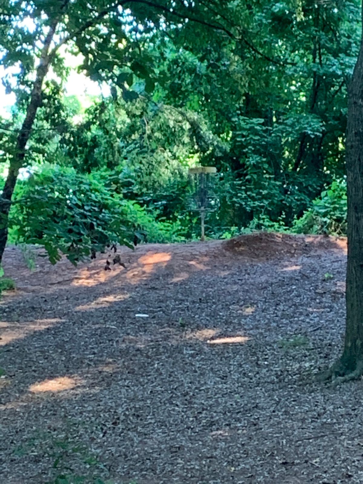 Basket on 15