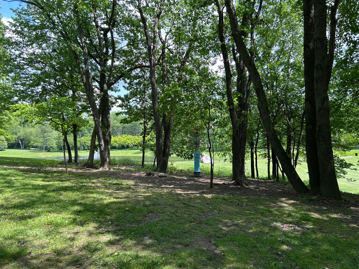 Hole 13 basket a little higher than usual for a little challenge