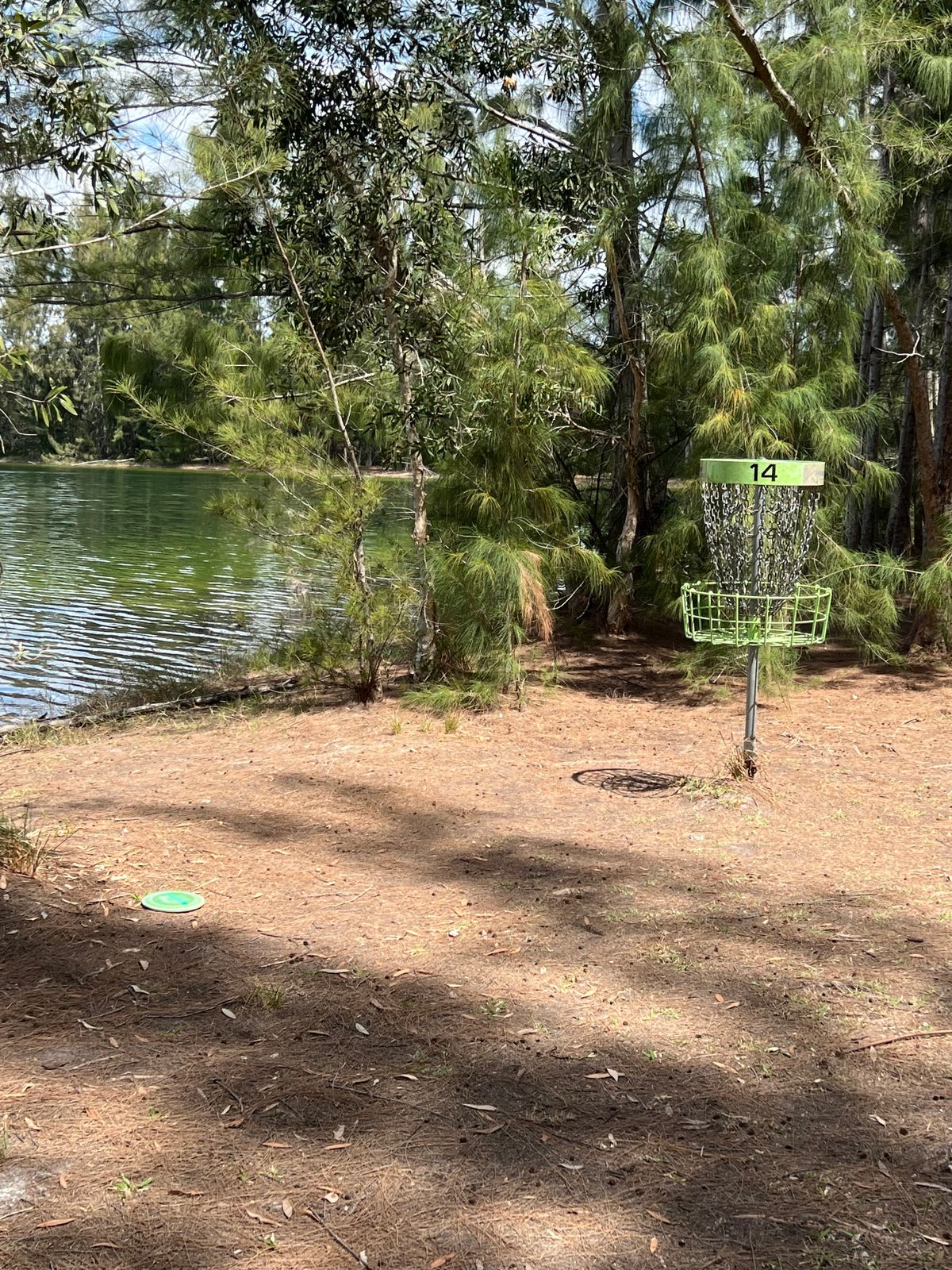 Hole 14 basket close to water