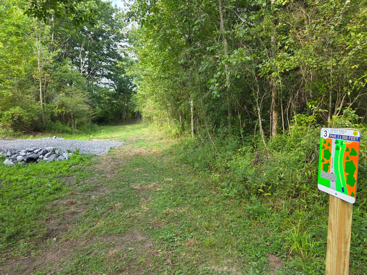 Hole 3