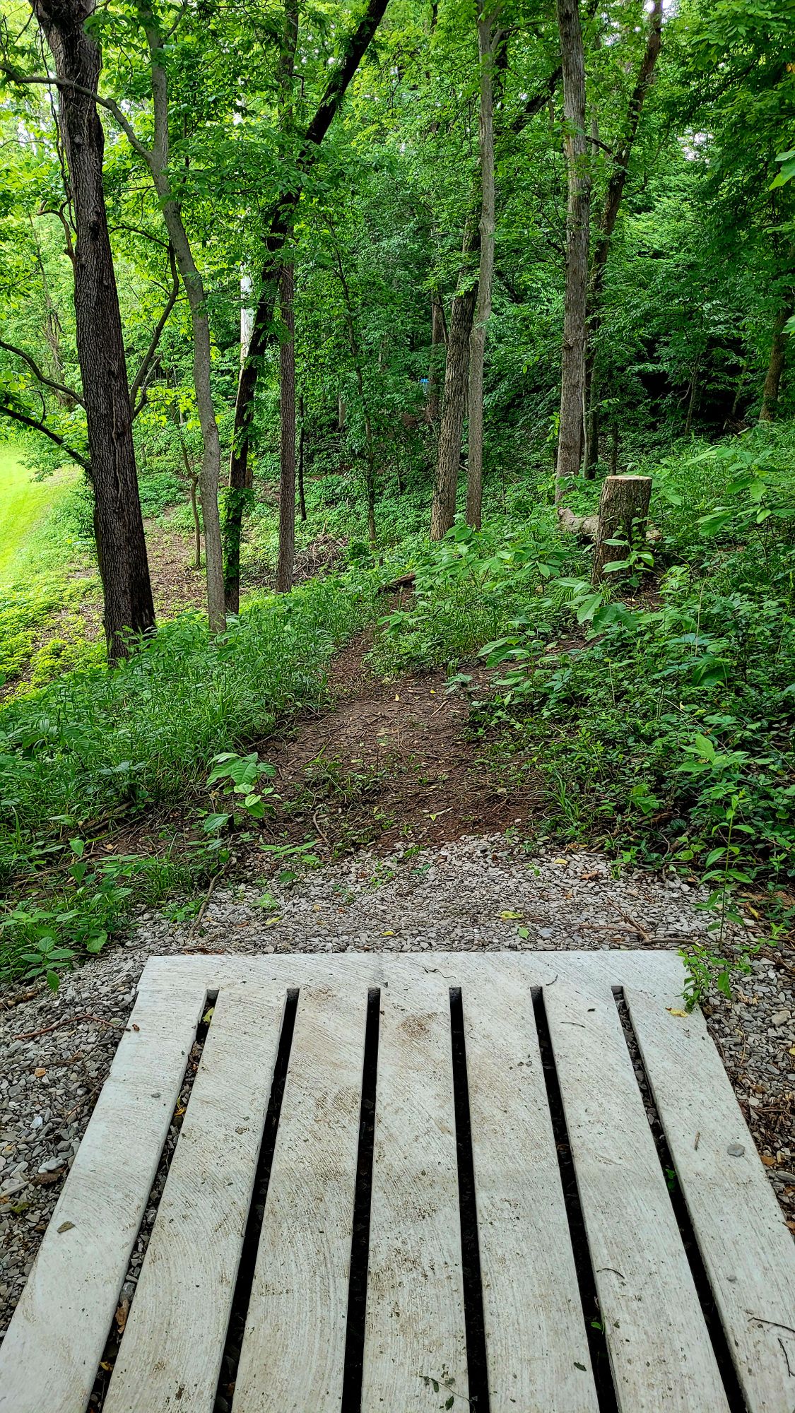 Hole 5