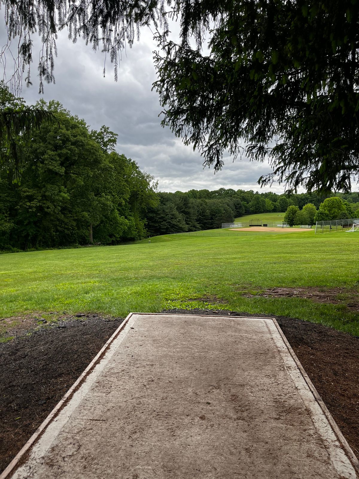 Hole 14 tee