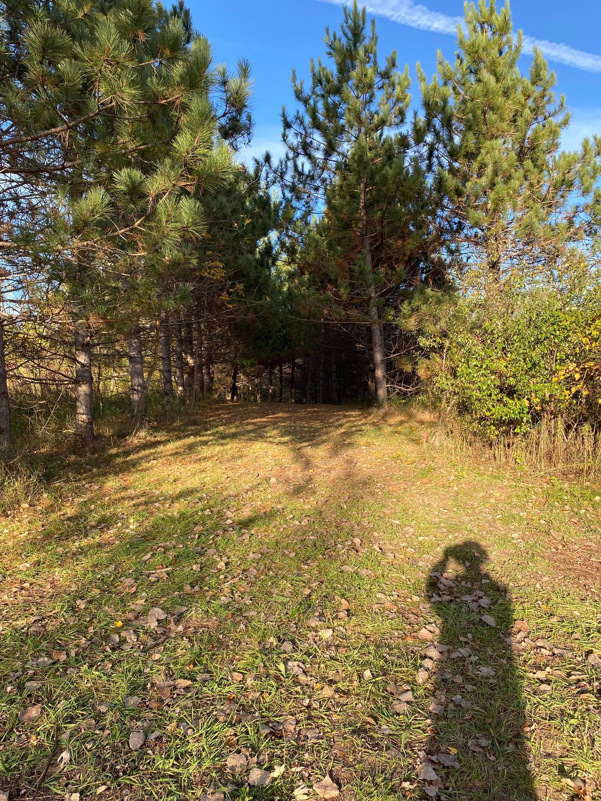 Hole 6 tee